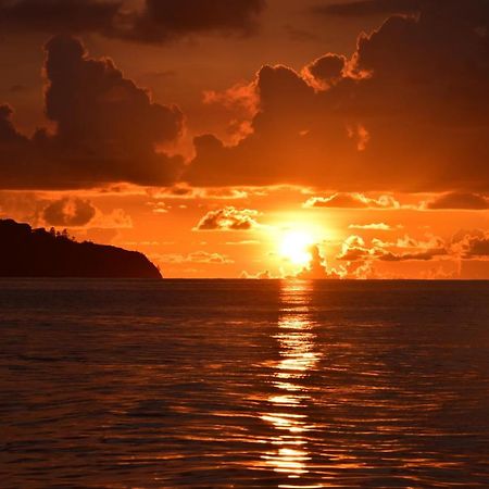 Le Chant De Merle Self -Catering Studios And Apartments Mahe Island Ngoại thất bức ảnh