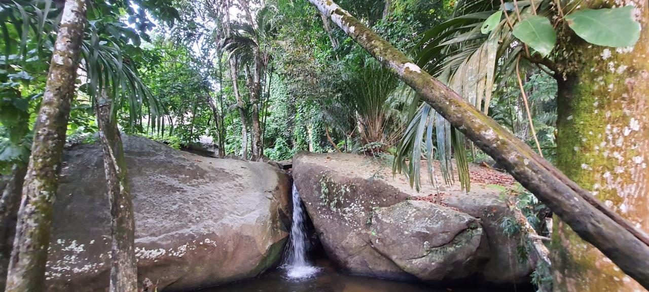 Le Chant De Merle Self -Catering Studios And Apartments Mahe Island Ngoại thất bức ảnh